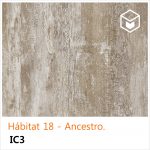 Hábitat 18 - Ancestro IC3