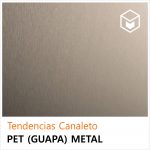 Tendencias - Canaleto PET (Guapa) Gris Metal